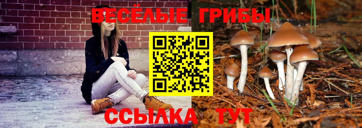 Галлюциногенные грибы мицелий Дивногорск