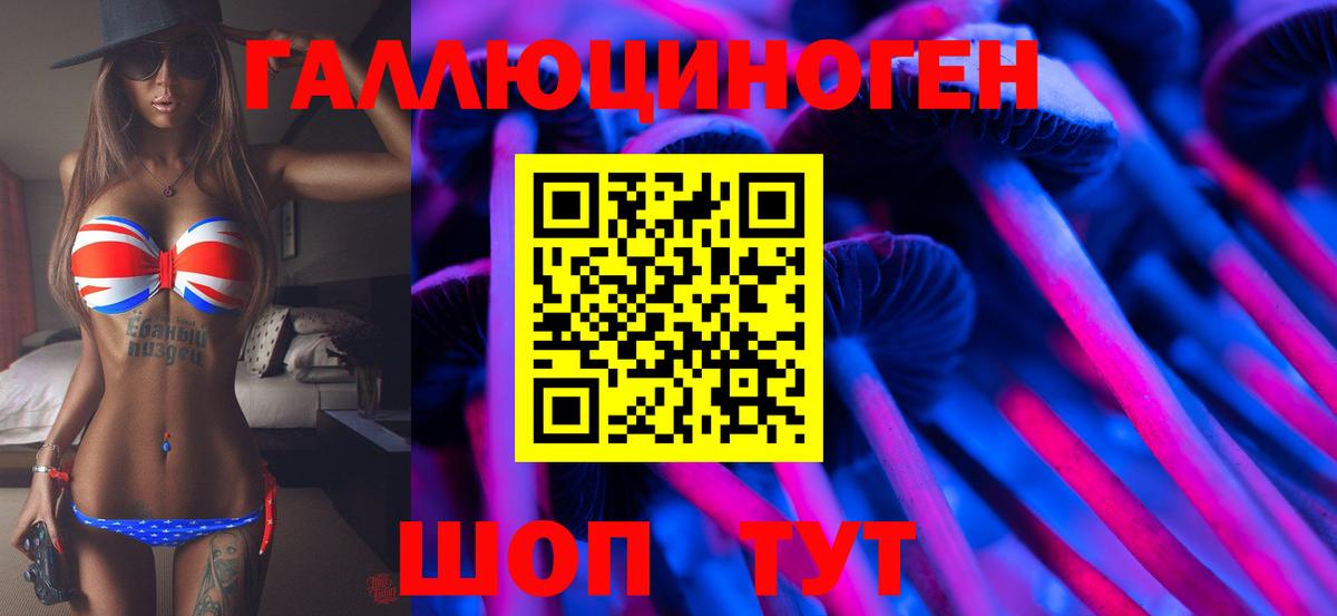 Псилоцибиновые грибы Psilocybine cubensis  Псилоцибиновые грибы мухоморы  Вход с VPN  Дивногорск 